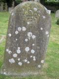 image of grave number 559294